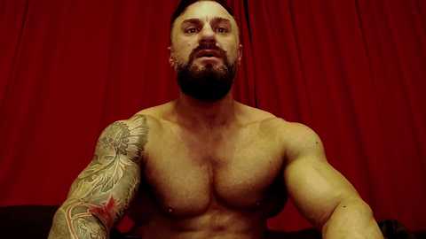 adonis_msc free recording from 2025-12-14 00:04:00