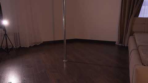 Video of a dimly lit, modern room with a dark wooden floor, beige walls, and a tall silver pole in the center. A large spotlight shines from the left, and a beige couch is visible on the right.