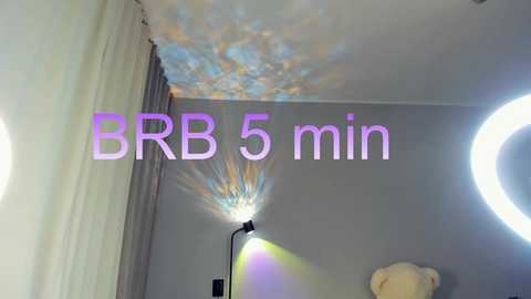 bellidream free recording from 2025-12-15 00:24:00