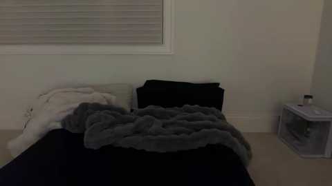 Video of a minimalist bedroom with a black bed, a gray blanket, a white pillow, a closed window, and a transparent bedside table holding a bottle. The room is dimly lit.