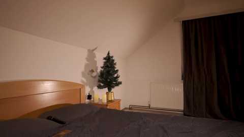 Video of a dimly lit bedroom with a wooden headboard, a small Christmas tree, and a closed sliding door.