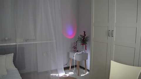 A video of a minimalist, modern bedroom with white walls, sheer curtains, a small white nightstand with a red floral arrangement, and a white wardrobe.