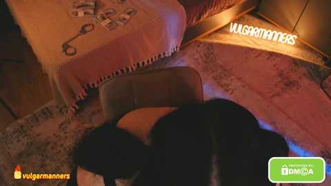 Video of a cozy bedroom scene with a plush black dog sleeping on a rug, a wooden chair, a bed with a blanket, and dim lighting. The \"Ugurmann\" logo is visible in the bottom left corner.