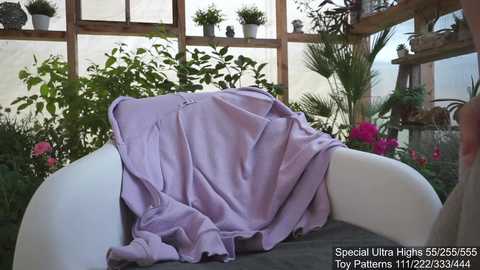 A video of a serene greenhouse with a white chair draped in a lavender blanket, surrounded by potted plants, wooden shelves, and a rustic wooden frame.