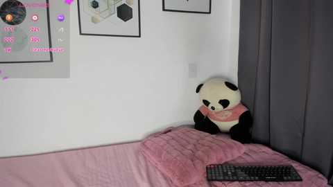 Video of a cozy bedroom corner with a pink quilted blanket, a plush panda, and a black keyboard on a bed against white walls adorned with framed artwork.