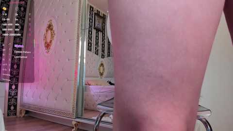 Video of a close-up of a person's thigh in a luxurious bedroom with a tufted headboard, ornate wallpaper, and a mirrored vanity.