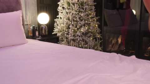 Video of a modern bedroom with a neatly made bed, a small Christmas tree, and a lamp on a dark nightstand.