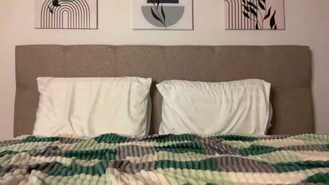 Media: Video of a neatly made bed with a beige upholstered headboard, white pillows, and a multicolored knitted blanket. The background features abstract black and white artwork.