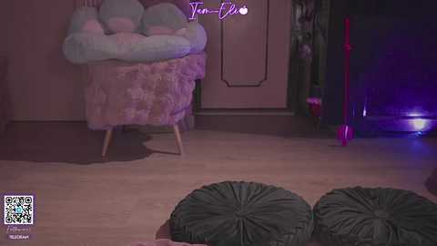 Media: A video of a dimly lit room with a plush pink chair, a fluffy green cushion, and two large green pillows on the floor.