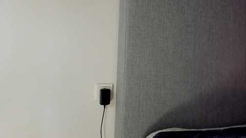 A video showing a light switch on a white wall, with a black power outlet and a black power cord. The wall has a textured, gray fabric covering. The image is minimalistic and utilitarian, focusing on the functional elements.