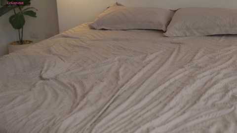 A video of a neatly made bed with light beige bedding, featuring a wrinkled comforter and two pillows against a plain white wall. A potted plant with green leaves sits beside the bed.