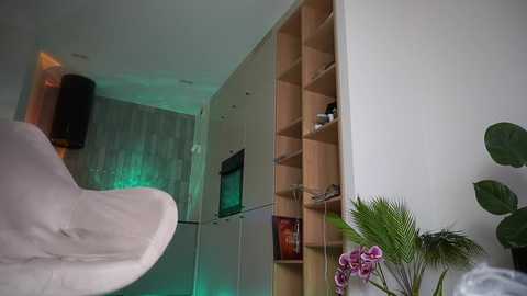 A video of a modern, minimalist living room with a white, curved sofa, wooden shelves, green plants, and a TV mounted on the wall.