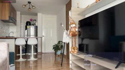 Video of a modern, open-concept kitchen with white cabinets, stainless steel appliances, and a white island with stools. A white door leads to the living room, where a large flat-screen TV is mounted on the wall. A plush toy bear stands near the TV.