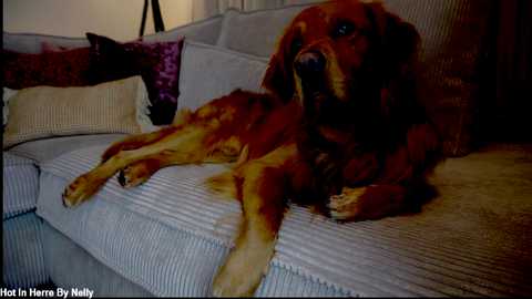 x_lily_x free recording from 2025-12-15 00:26:00