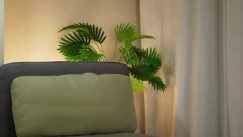 akumadadrive free recording from 2025-12-16 00:03:00