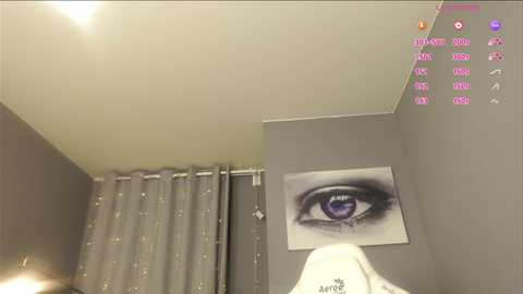 Video of a modern, minimalist bathroom with a large eye print on a gray wall, a gray curtain, and a white towel.