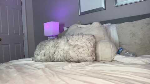 A video of a neatly made bed with white linens, beige pillows, a fluffy pillow, a white lamp, and a partially open door in a gray-walled bedroom.