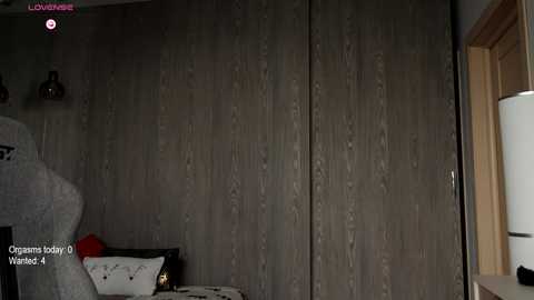 Video of a dimly lit bedroom with a gray wood-paneled wall, a bed with white and gray bedding, a red pillow, and a white lamp on the right side.