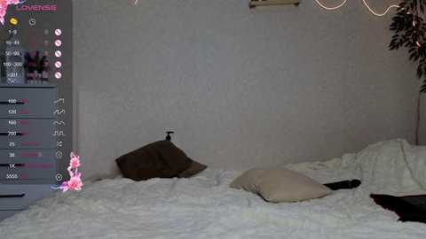 serenahall_ free recording from 2025-12-16 00:57:00