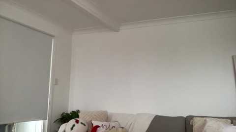 A video of a minimalist living room with white walls, a gray couch adorned with decorative pillows, and a large white window with a beige roller shade.