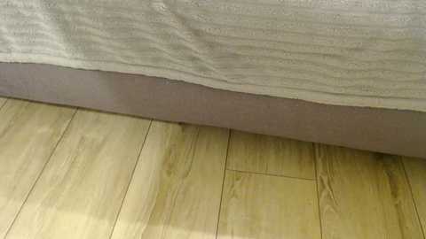 Video of a wooden floor transitioning into a beige carpeted area, showing a clear boundary line where the two materials meet. The wooden floor has a light, natural finish, while the carpet is soft and textured.