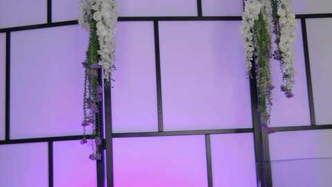 xenomy free recording from 2025-12-16 00:03:00