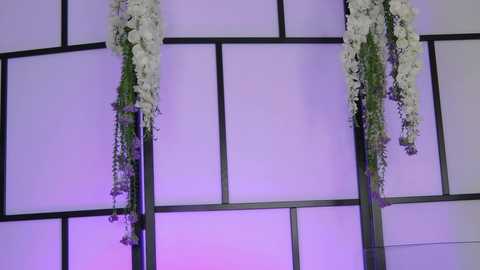 xenomy free recording from 2025-12-16 00:03:00