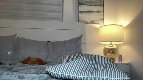 Video of a cozy bedroom with a white bed, grey and white striped pillows, a small orange cat, a beige lamp, and a serene landscape painting on the wall.