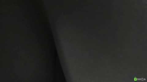 A dimly lit, grainy video of a dark, shadowy figure, possibly a person, standing in a dimly lit room, with a green \"BAM\" watermark in the bottom right corner.