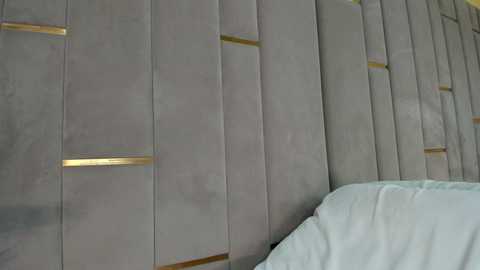 evalims free recording from 2025-12-17 00:02:00