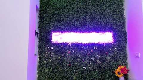 hotfallingdevil free recording from 2025-12-17 00:03:00