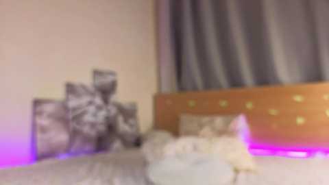 maxineheart free recording from 2025-12-17 00:02:00