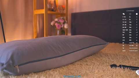 oke_doke free recording from 2025-12-17 00:03:00