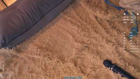 Video of a plush, shaggy brown rug with a dark grey pillow and a blue toy on a wooden floor, suggesting a cozy, child-friendly bedroom setting.
