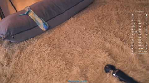 A video of a cozy bedroom scene featuring a plush, light brown shag rug, a gray cushion, a black vibrator, and a blue and yellow striped pillow, with a dimly lit wooden wall in the background.
