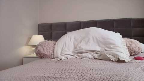 A video of a cozy bedroom featuring a grey upholstered headboard, white pillows, and a soft pink knitted blanket on a bed.
