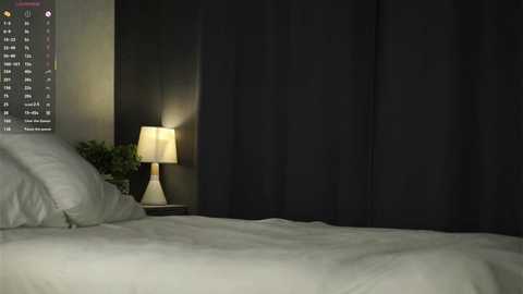 sheenadu free recording from 2025-12-17 00:03:00