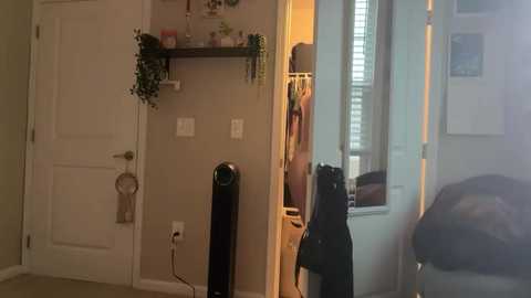 A video of a small, dimly lit bedroom with beige walls, a closed white door, a black fan, a hanging plant, and a partially open closet revealing a black garment hanging.