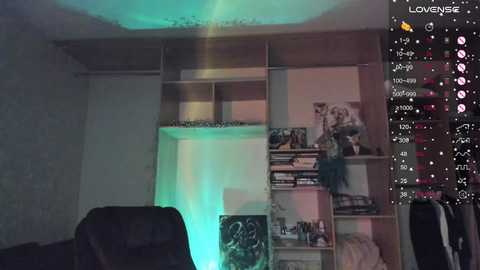 Media: A video of a dimly lit room with a wooden bookshelf, a black chair, and a greenish-blue glow from a ceiling light. The image is overlaid with a live-stream overlay showing camera settings and viewers.
