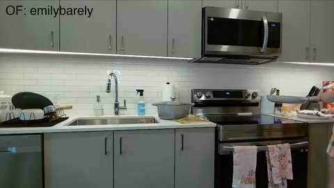 Video of a modern kitchen with light gray cabinets, stainless steel appliances, white subway tiles, and a hanging microwave. The countertop features a dishwasher, a sink, and various kitchen items.