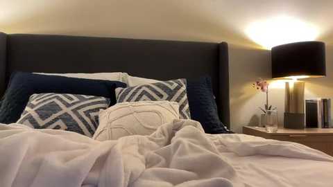 Video of a modern bedroom with a dark gray upholstered headboard, two patterned pillows, a white duvet, a bedside lamp, and a wooden nightstand with books and a vase.