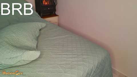 Video of a bedroom with a green quilted bedspread, matching pillow, and a small black wood-burning stove on a wooden nightstand against a pale wall.