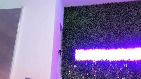 Video of a vibrant, purple-lit sports stadium with a lush, green artificial turf field. The field is surrounded by white walls and a glass door on the left.