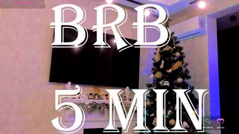 Video of a living room with a flat-screen TV, a decorated Christmas tree, and a shelf displaying holiday decor. Text overlays read \"BBB 5 MIN\" in bold white letters.