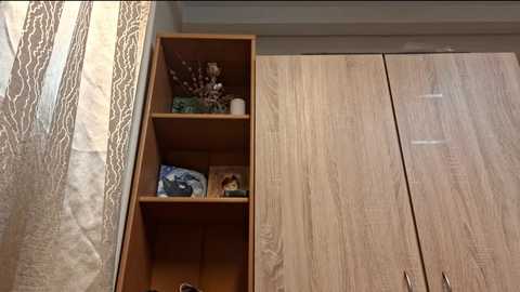 Video of a wooden shelving unit with three shelves, holding decorative items, against a beige wall with textured wallpaper. To the right, a mirrored closet door reflects the room's light.