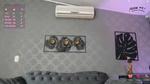 Video of a modern living room with a grey tufted couch, black and white floral wall art, a black decorative lamp, and an air conditioning unit on a grey wall.