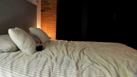 rachel_rey free recording from 2025-12-19 00:07:00