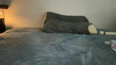 A video of a messy bedroom with a gray blanket, a gray pillow, a white dildo on the bed, and a black nightstand with a lamp.