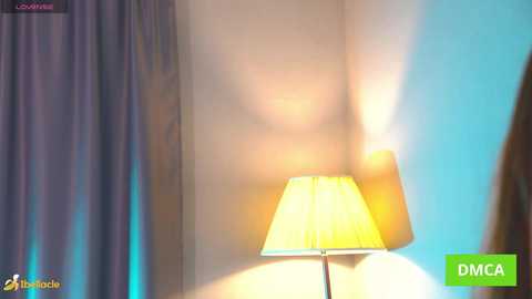 bellacle free recording from 2025-12-19 00:07:00