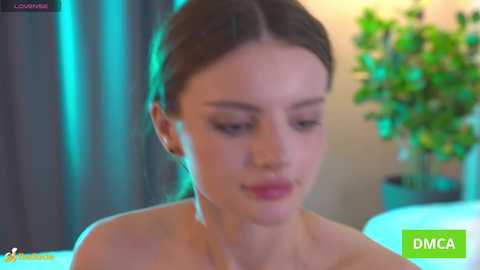 bellacle free recording from 2025-12-19 00:07:00